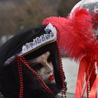 2017 03 12 CARNAVAL ANNECY-424