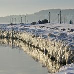 2017-03-21 à 06-36-08Début de printemps .