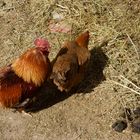 2017 05 Kandovan 2