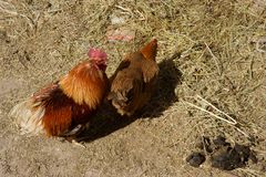 2017 05 Kandovan 2