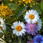 2017-07-20 schöne Blumen-Bouquet