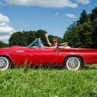 2017 08 13_1957 Ford Thunderbird_4090_bearbeitet-2