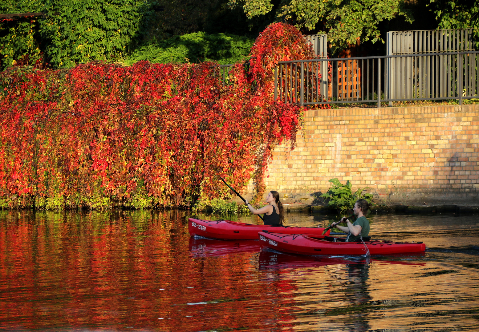 2017-09-29_Potsdam_Havel