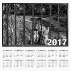 2017-Calendario-Anual