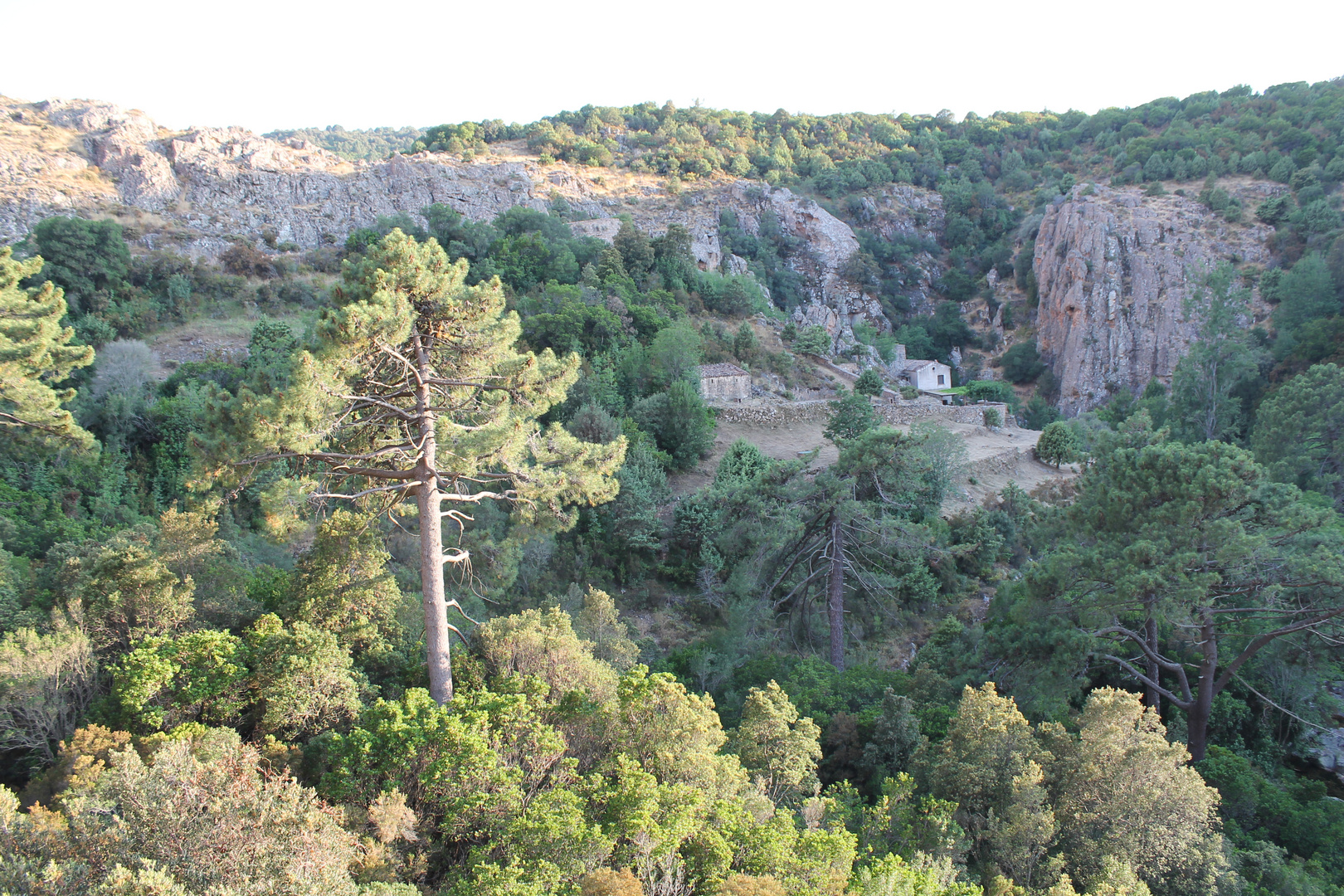 2017 Korsika  Calanche, Calanques de Piana