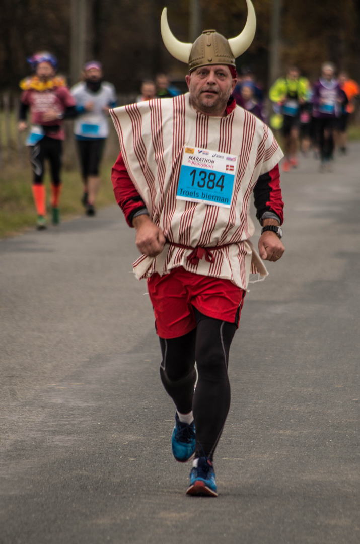 2017 marathon du Beaujolais - le marathon