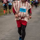 2017 marathon du Beaujolais - le marathon