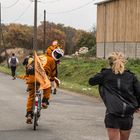 2017 marathon du Beaujolais - le marathon