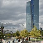 2017 Skaterpark im Ostend von Frankfurt