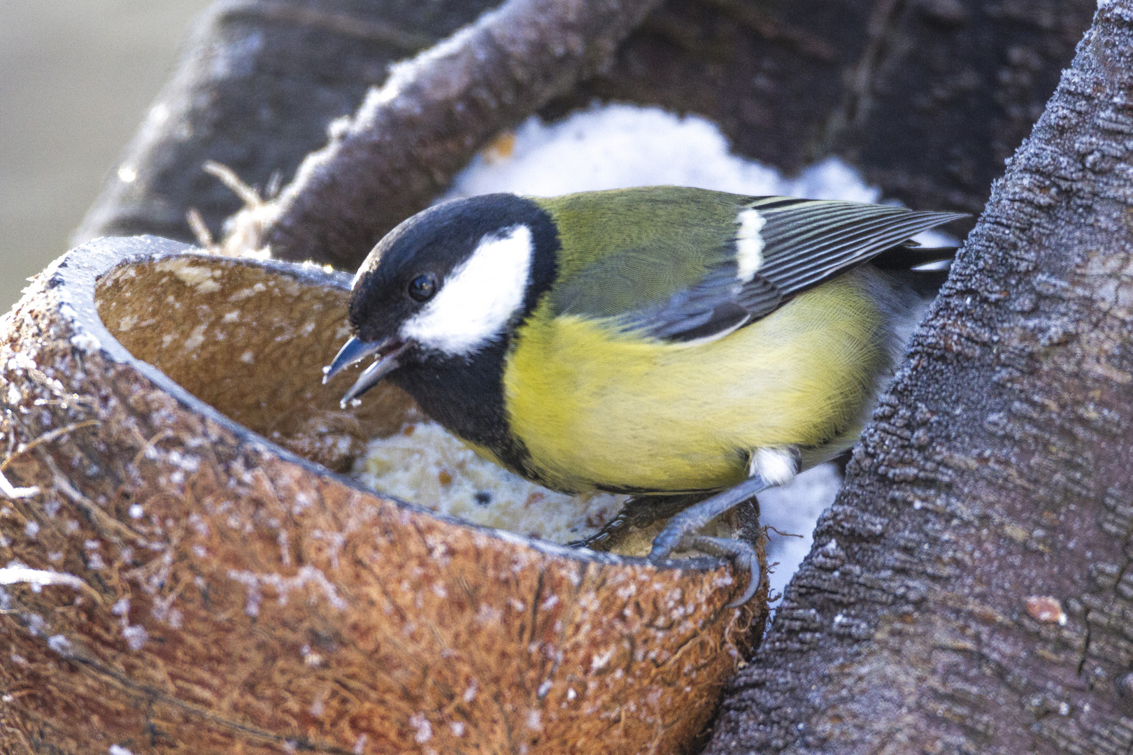 20170122_Ansitz_Garten_0030