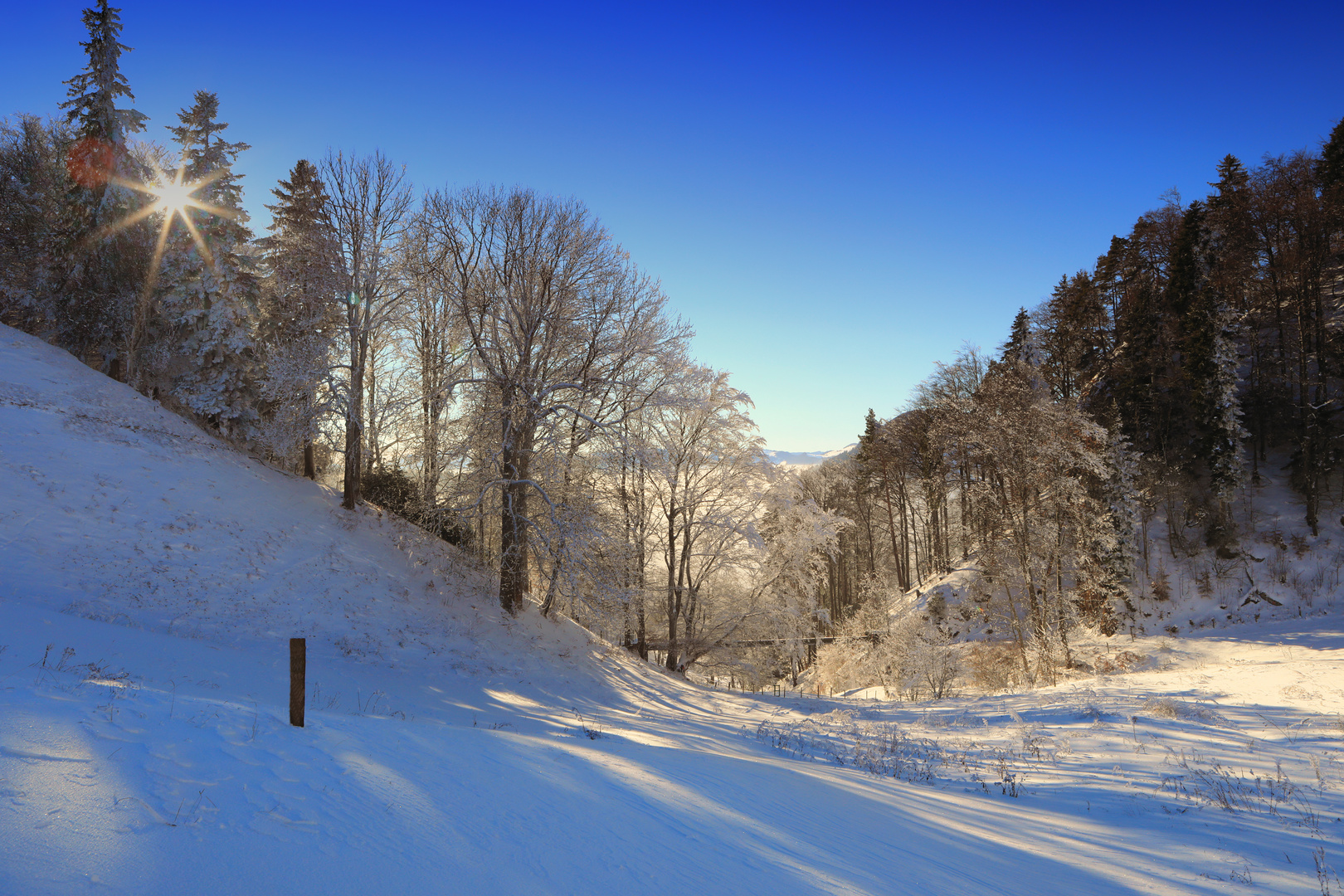 20170221_Schneeschuhwanderung_Langenbruck_Sool_0106b