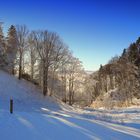 20170221_Schneeschuhwanderung_Langenbruck_Sool_0106b