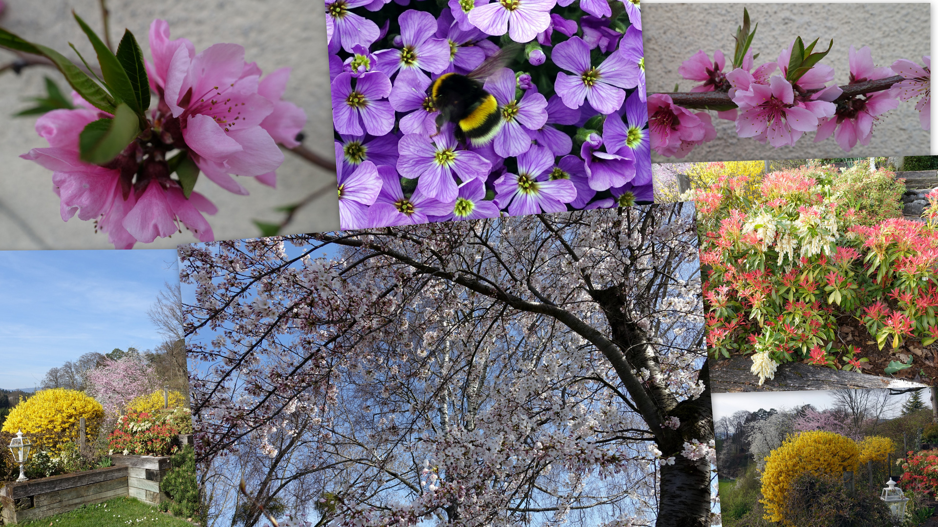 20170313Garten im Frühling