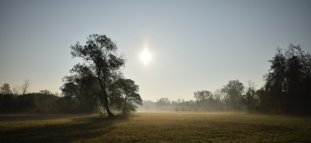 20170409_UnterowisheimBreitwiese