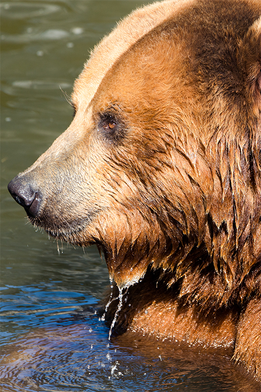 20170506_Zoom_Gelsenkirchen_Bild0081-Bearbeitet