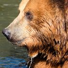 20170506_Zoom_Gelsenkirchen_Bild0081-Bearbeitet