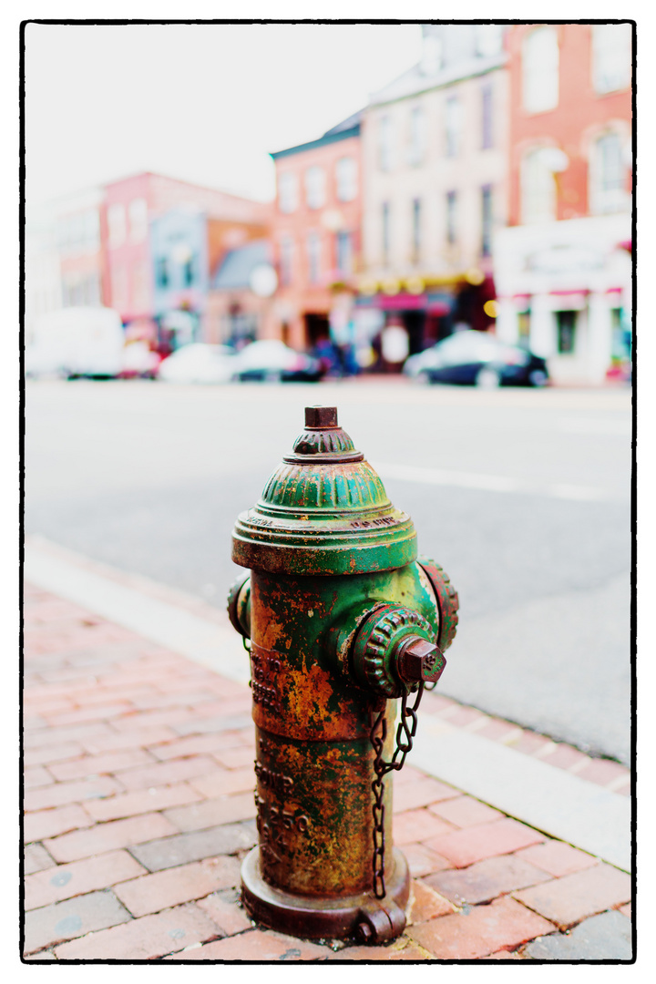 20170507-DSC07358-hydrant2