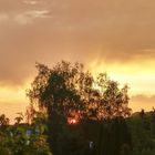 20170530_205815_HDR-1