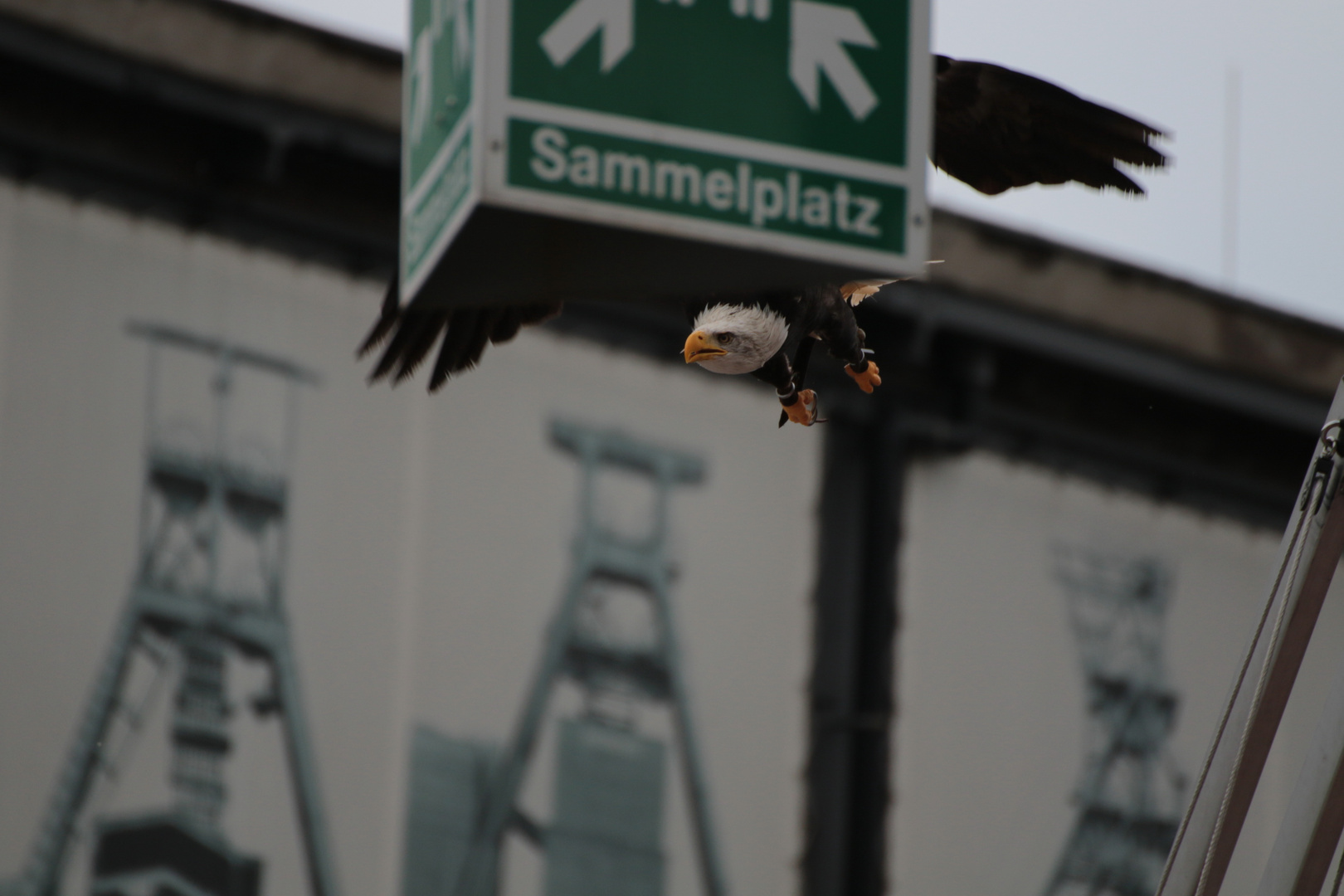 2017_06_11Sammelplatz