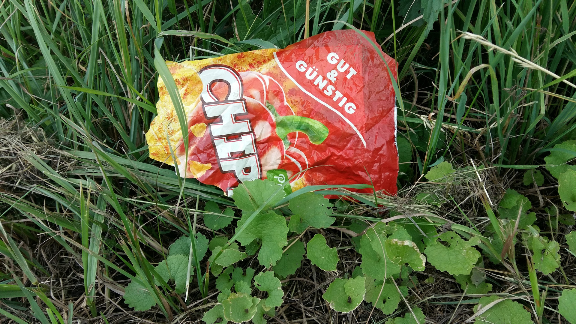 20170630 Chips-GUT UND GÜNSTIG für die Natur ?