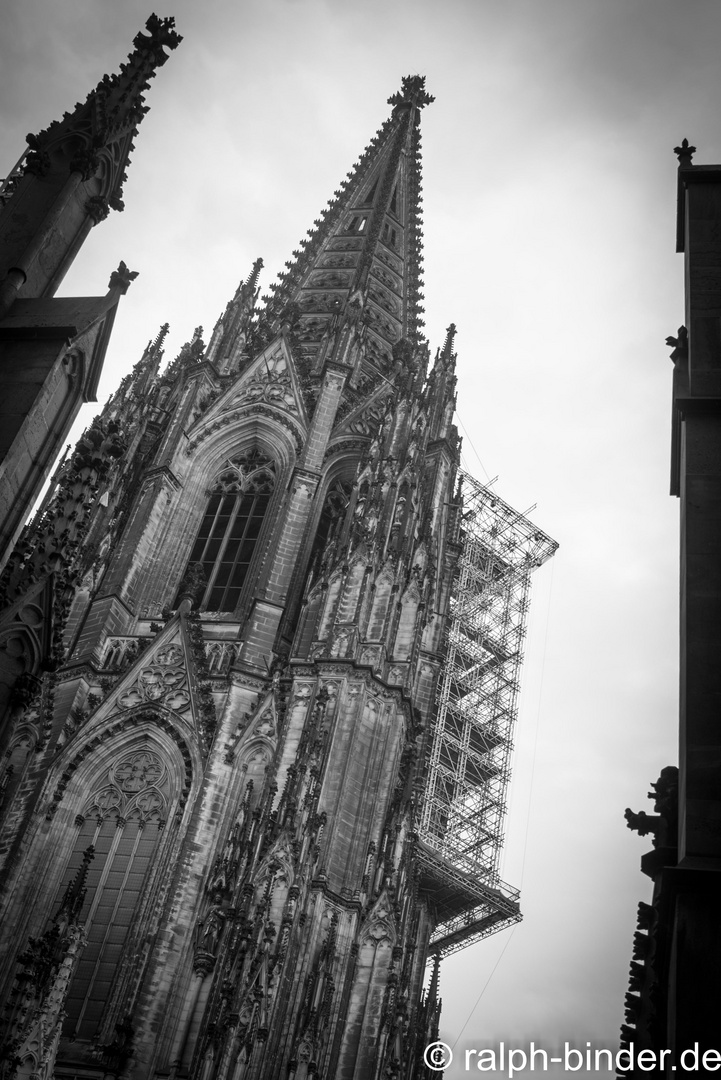 20170714-03321_koeln