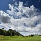 20170717 Oderhänge bei Libbenichen