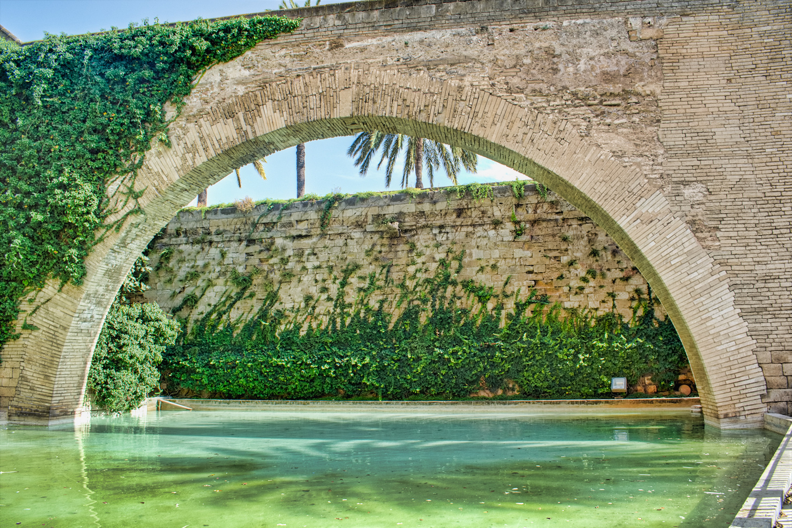 20170719 Gemeinschaftsgarten Palma