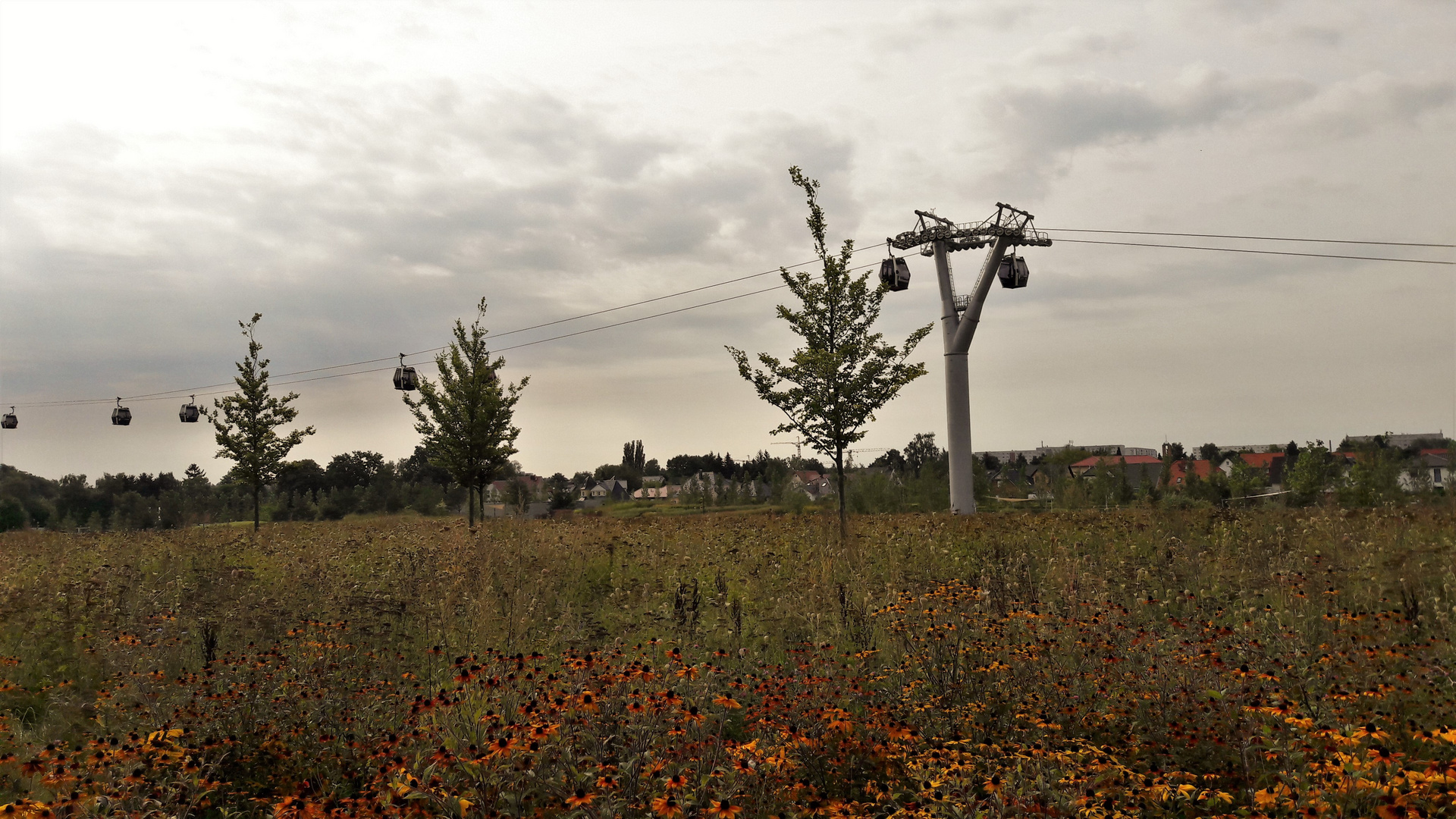 20170826  ARCHIV :Berlin : Internationale Gartenausstellung 2017