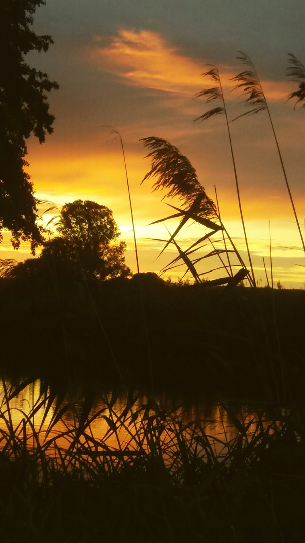 20170913_124217Morgenstimmung an der Regnitz bei Baiersdorf 