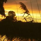 20170913_124217Morgenstimmung an der Regnitz bei Baiersdorf 