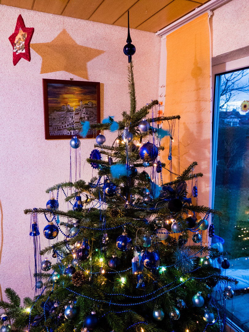 20171226-P1120205Weihnachtsbaum