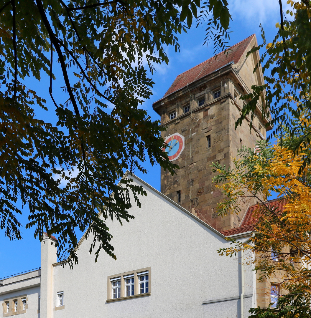 2017.Herbst, EMMA, 3 Fenster