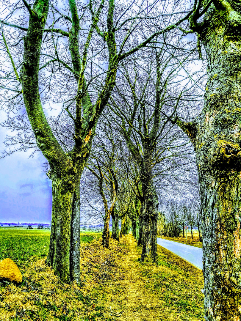 2018 03 Frühling in Mecklenburg