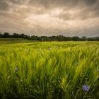 2018-05-Germerode, Hessen