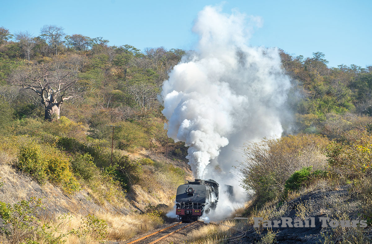 2018-06-18-Zimbabwe-Hwange-Tunnel--close-up-ZW8_7601