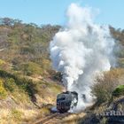 2018-06-18-Zimbabwe-Hwange-Tunnel--close-up-ZW8_7601