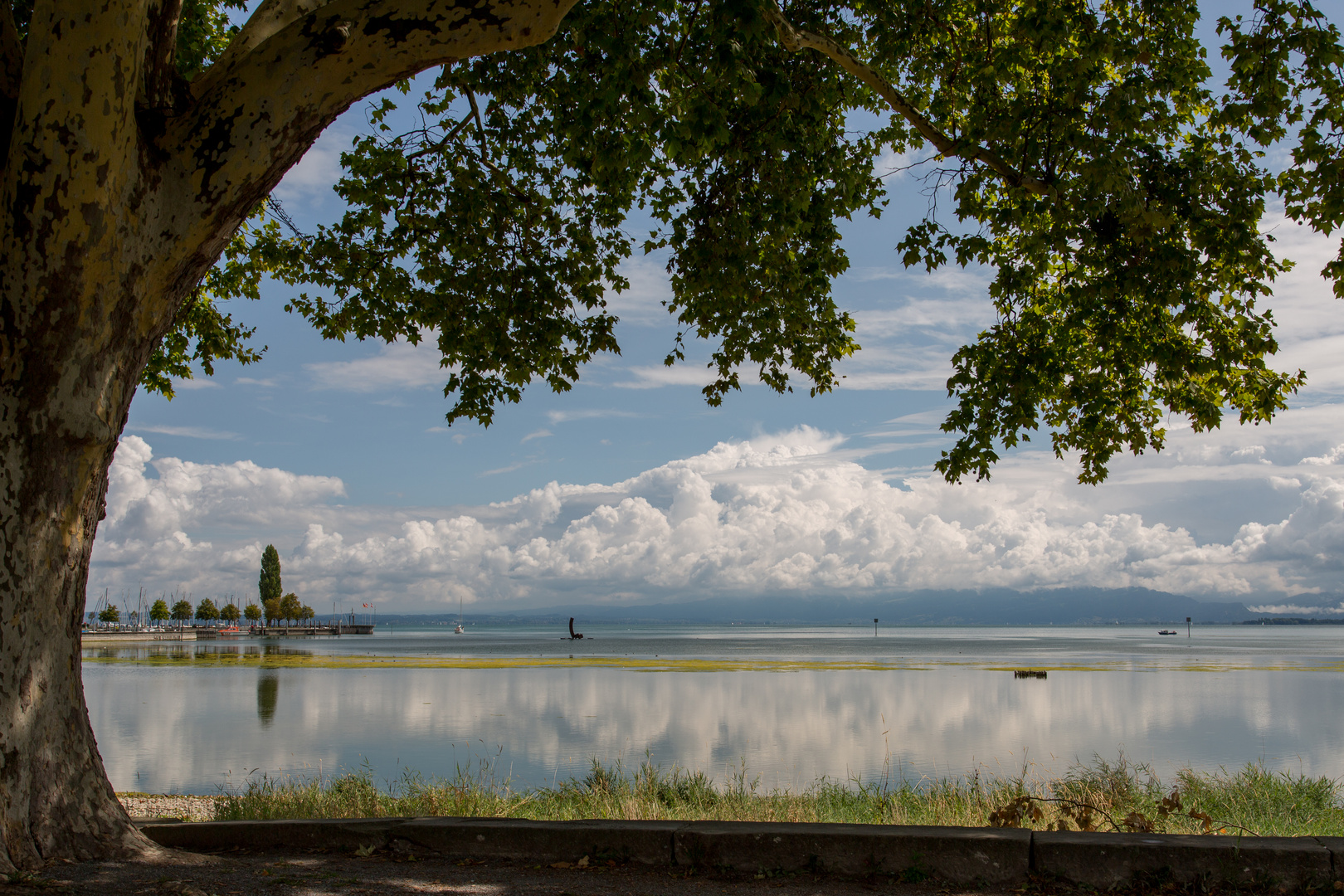 2018 - 08 - 13-16 Vorarlberg - _DM30954