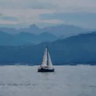 2018 08 Bodensee Segelschiff