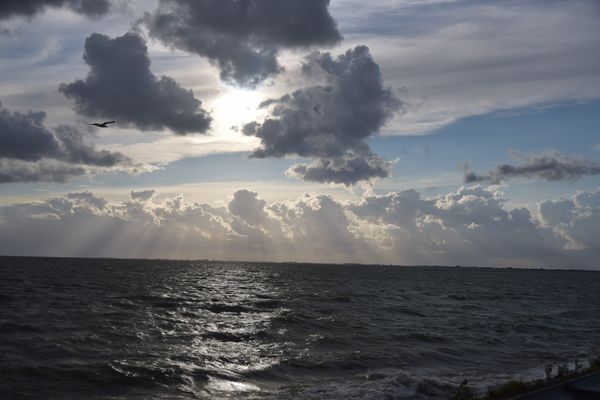 2018 08 Deichüberfahrt Ijsselmeer