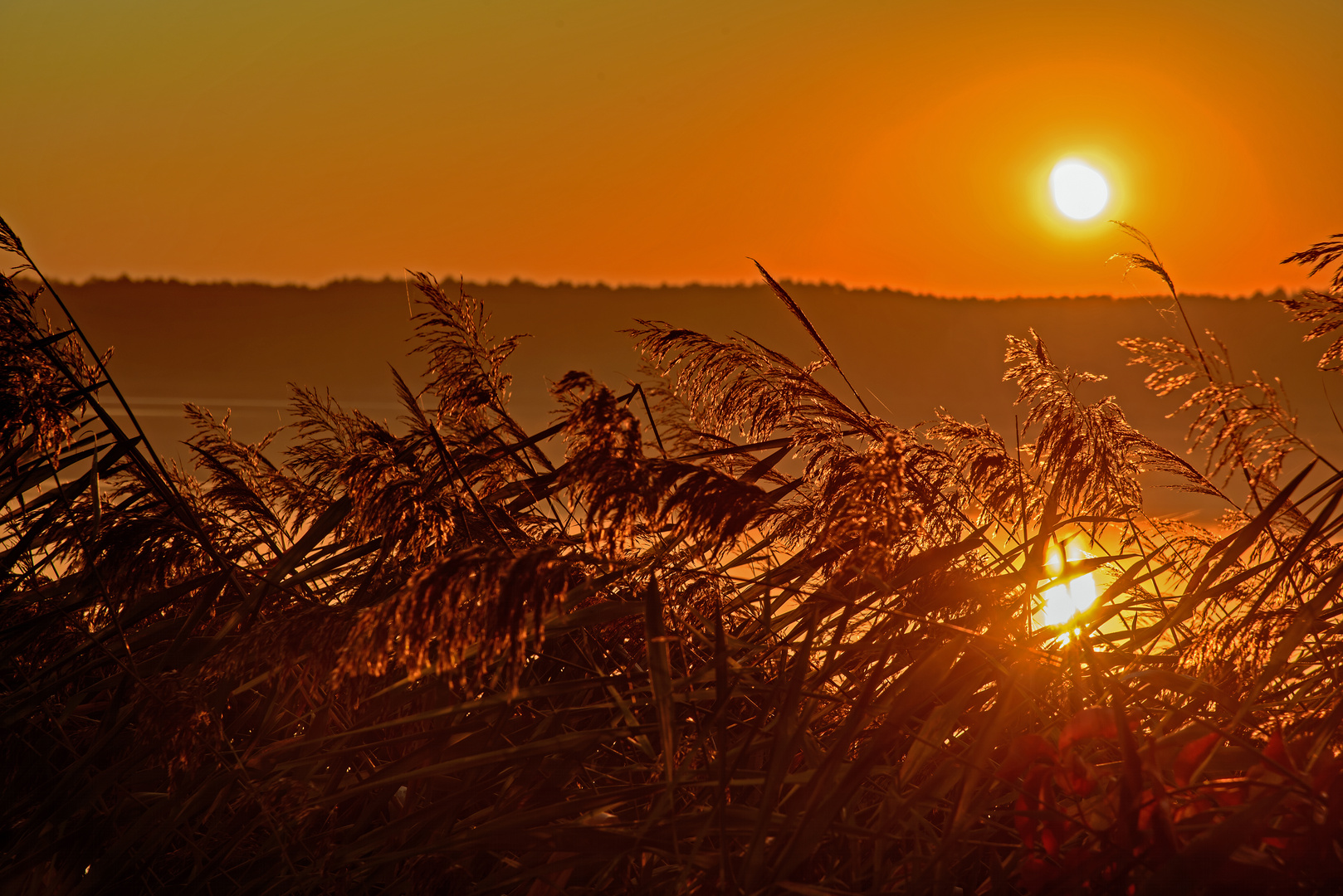 2018 10 13_Sonnenaufgang Mellensee