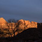 2018-12-27_ZionNP