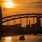 2018 Der Main im Ostend im goldenen Licht der Abendsonne