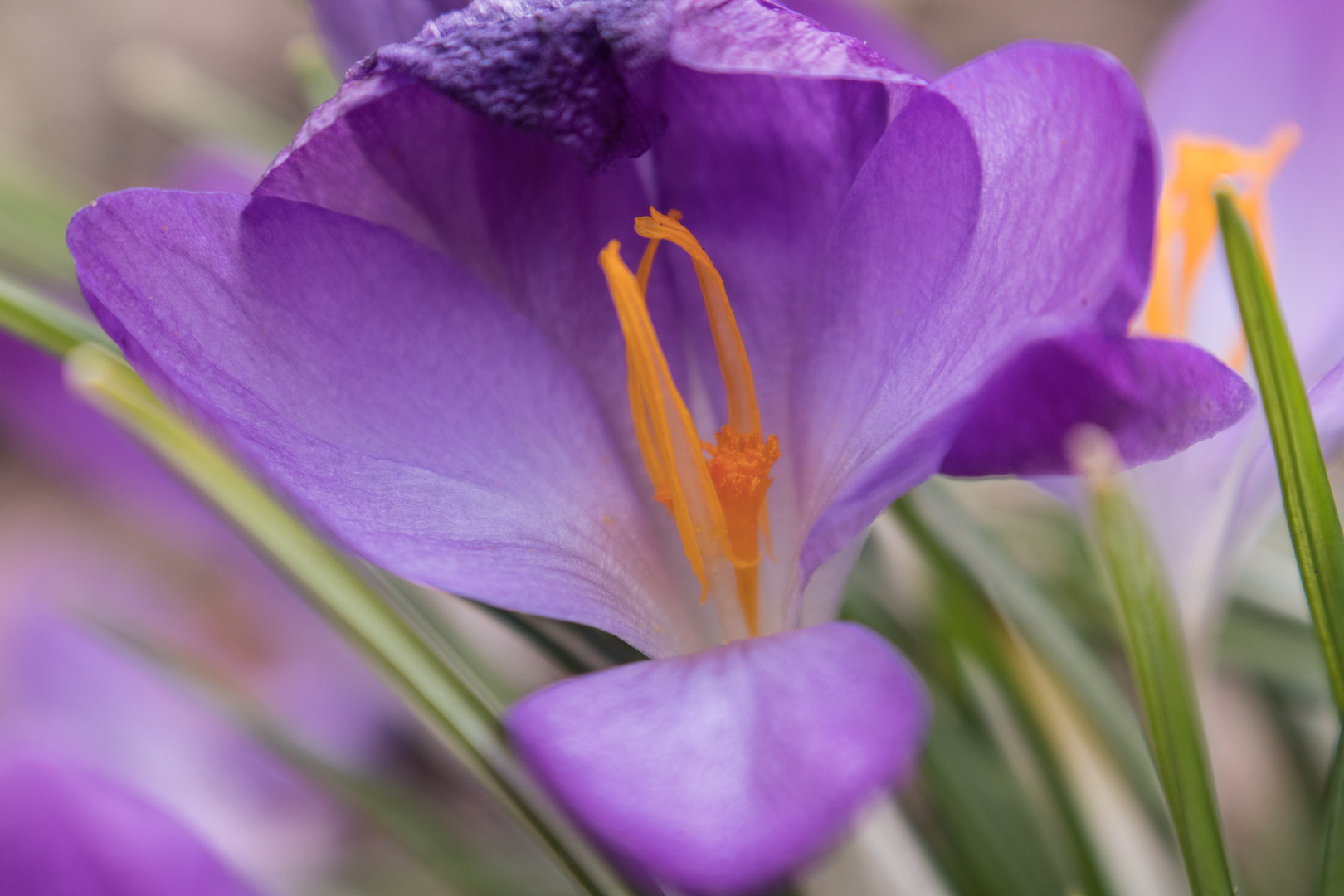 2018 Frühling - endlich 