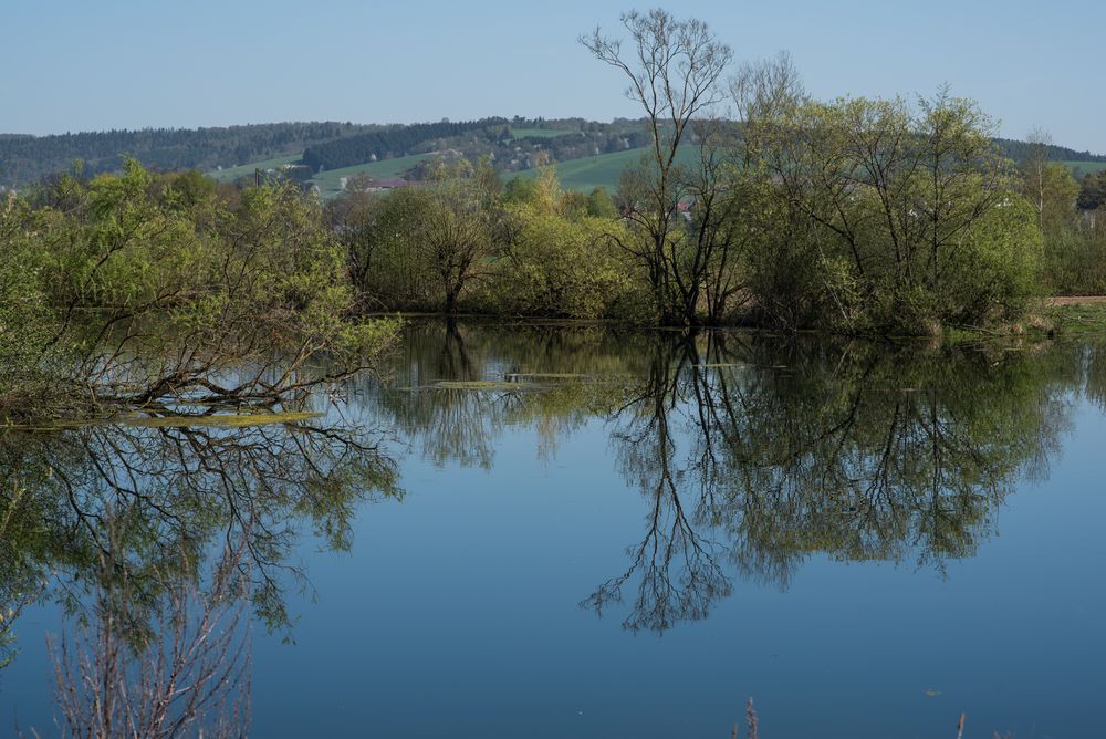 2018 Fuldaauen bei Breitenbach 