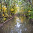 2018 Herbstlicher Niddalauf bei Frankfurt 