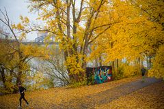 2018 Jogger am herbstlichen Ufer des Mains in Frankfurt