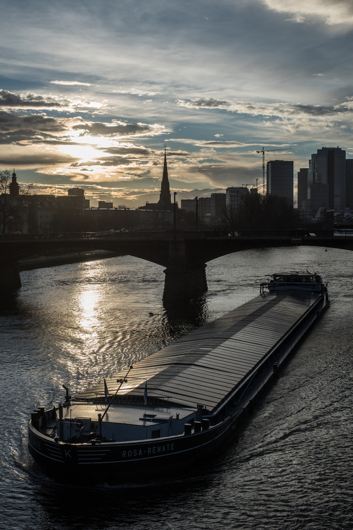 2018-Lastschiff in der Abendsonne auf dem Main in Frankfurt