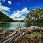 2018 | Pragser Wildsee