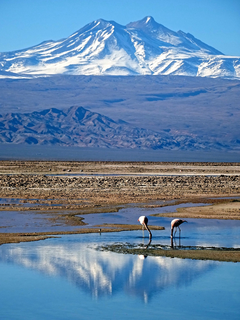 2018 Salar de Atacama Chile 2400 m