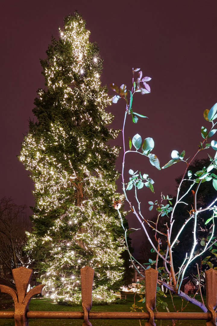 20180106_Zuerich_Weihnachten_3